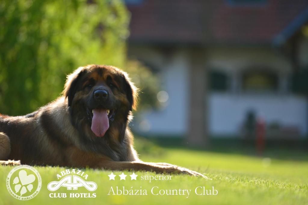 Abbazia Country Club Hotel Nemesnep Luaran gambar